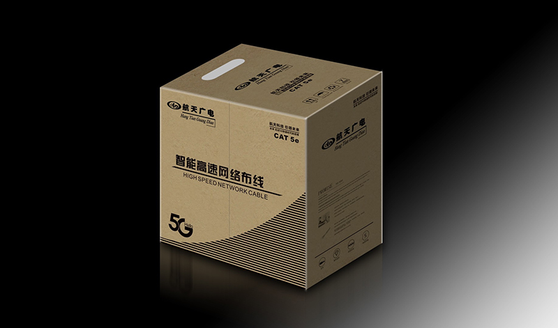 ���ܸ������粼��  CAT 5e